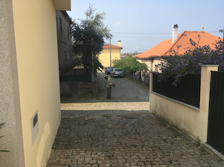 IMG 4541