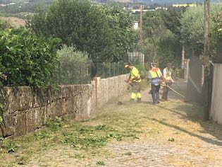IMG 4546