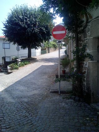 IMG 4561