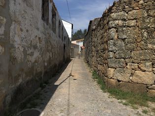 IMG 4570