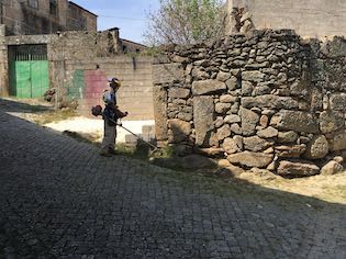 IMG 4571