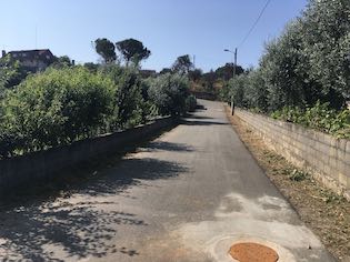 IMG 4580