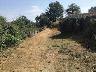 IMG 4618