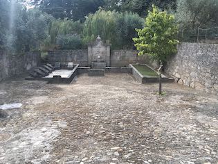 IMG 4684